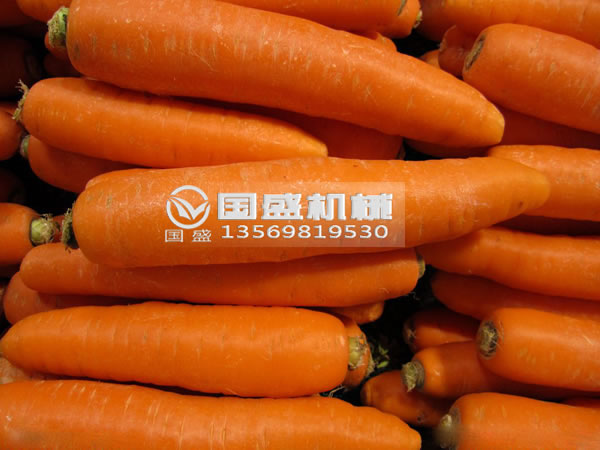 小蝌蚪视频下载胡蘿卜脫水擠壓機