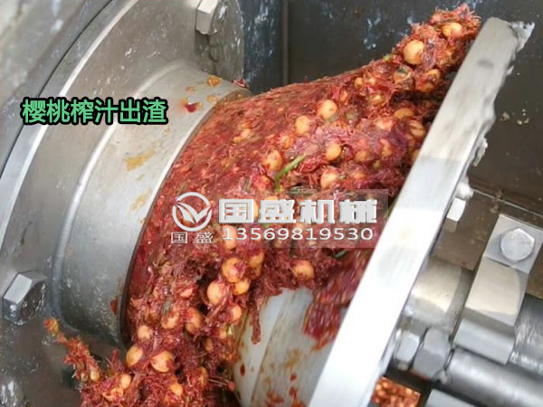 小蝌蚪视频下载櫻桃螺旋壓榨脫水機